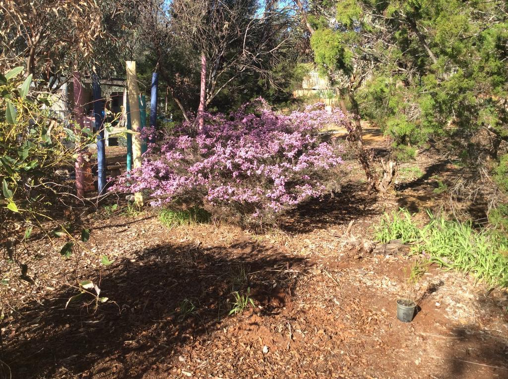 Floravalley Bed & Breakfast Toodyay Eksteriør bilde