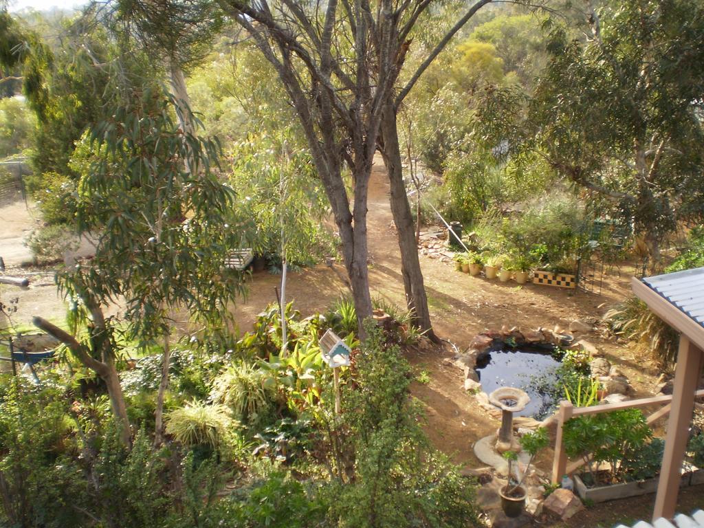 Floravalley Bed & Breakfast Toodyay Eksteriør bilde