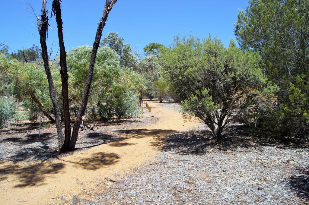 Floravalley Bed & Breakfast Toodyay Eksteriør bilde