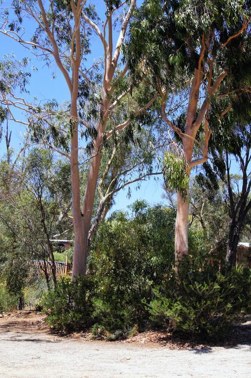 Floravalley Bed & Breakfast Toodyay Eksteriør bilde